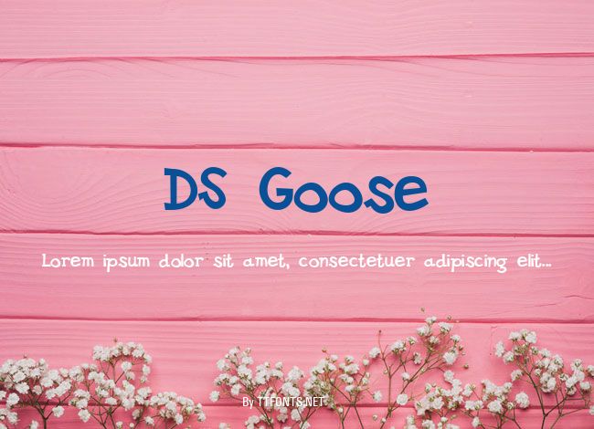 DS Goose example